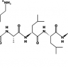 Oligopeptide-10
