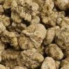 White truffle