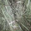 Harvested Vetiver