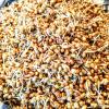Vigna Aconitifolia seeds and sprouts