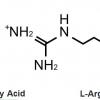 Arginine Cocoate