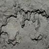 Black silt