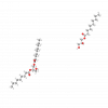 Caprylic/Capric Glycerides