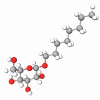 Caprylyl/Capryl Glucoside