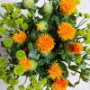 Safflower (Carthamus tinctorius)