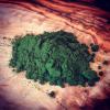 Chlorella Algae Extract