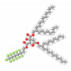 Dioctyldodecyl Fluoroheptyl Citrate
