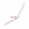 Hydrogenated Phosphatidylcholine