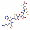 Glutamoyl Dipeptide-55 Gamma Tetrapeptide-58