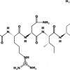 heptapeptide-7