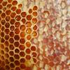 Beeswax