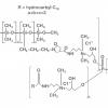 Linoleamidopropyl PG-Dimonium Chloride Phosphate Dimethicone