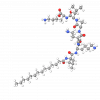 Myristoyl Hexapeptide-16