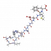 Oligopeptide-41