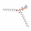 Lecithin