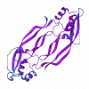sh-Polypeptide-8