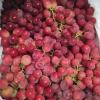 Red grapes