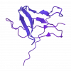 sh-Polypeptide-11