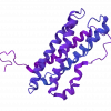 sh-Polypeptide-28