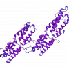 sh-Polypeptide-4