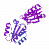 sh-Polypeptide-2