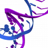 RNA