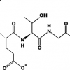 PerfectionPeptide P7