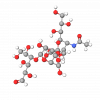 Sialyllactose