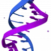 Sodium DNA