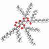 Tetrahexyldecyl Ascorbate