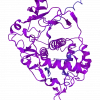 Tyrosinase